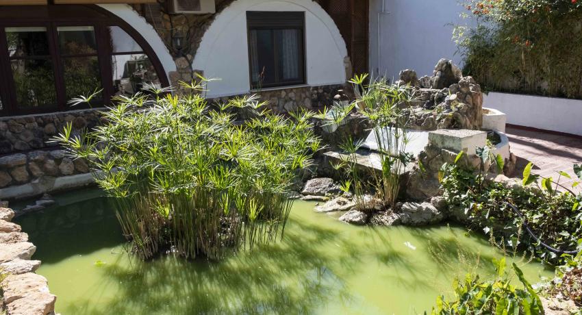 Jardín 5